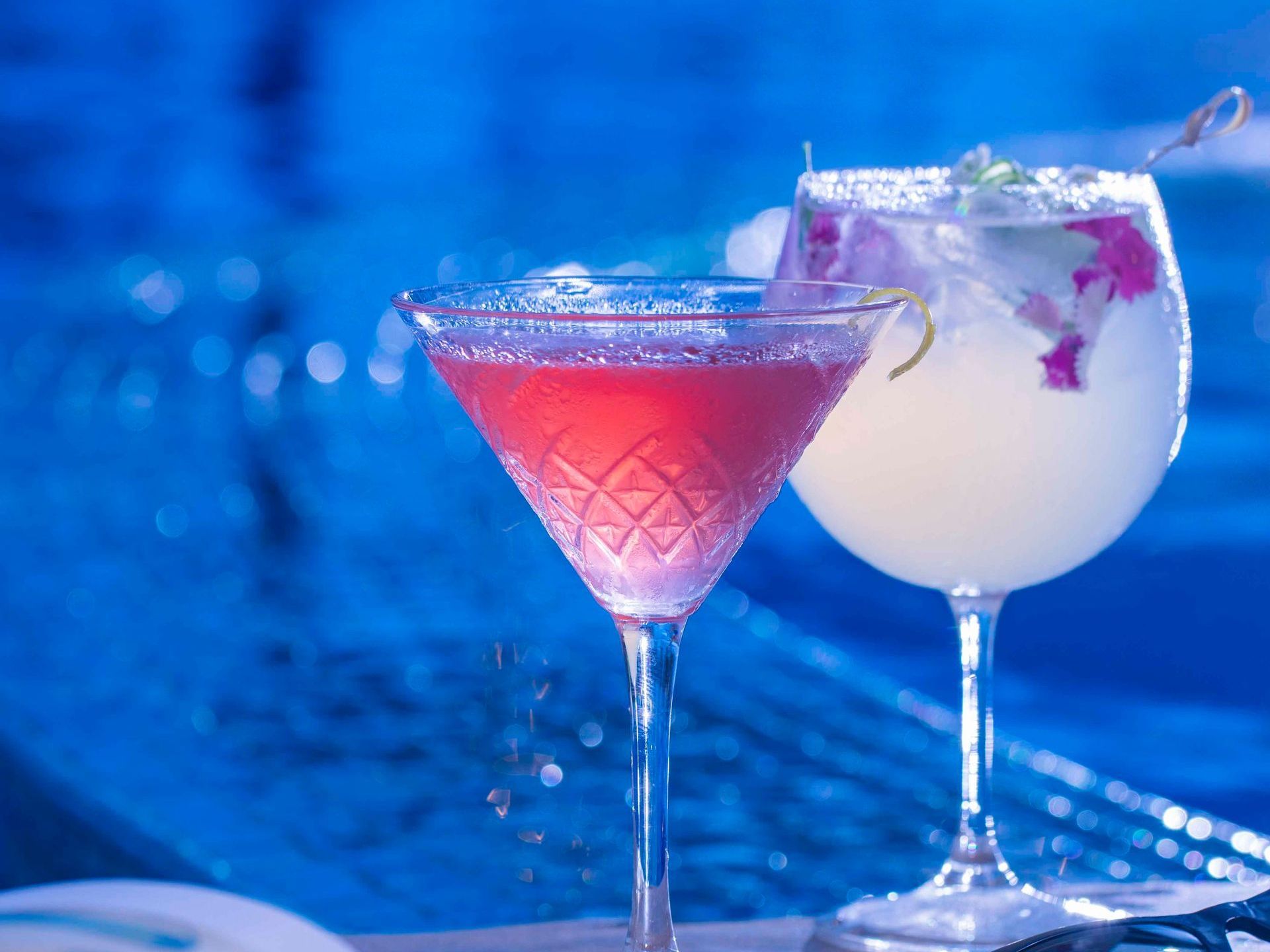 Gastronomia Bendito Cacao 22